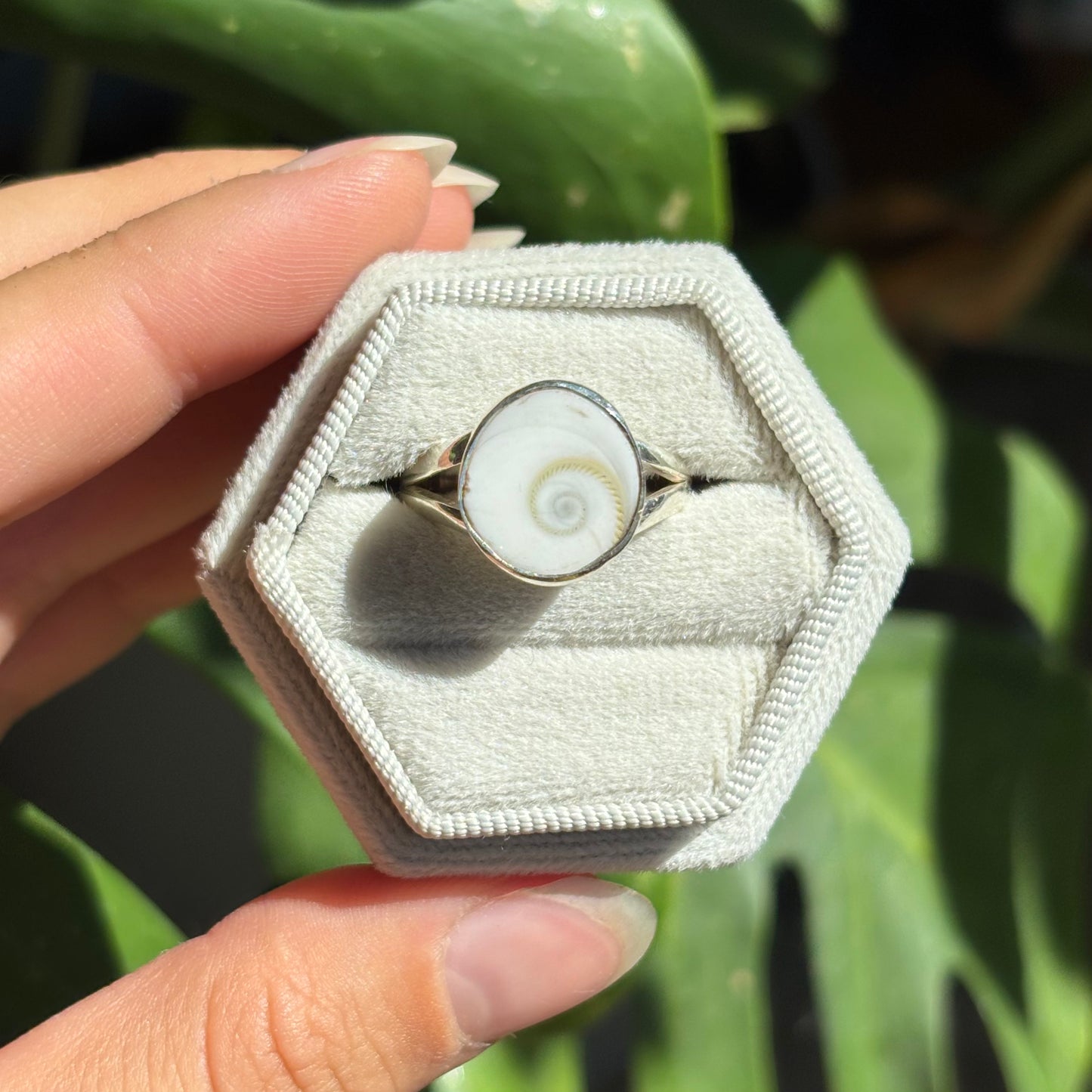 Bague opercule