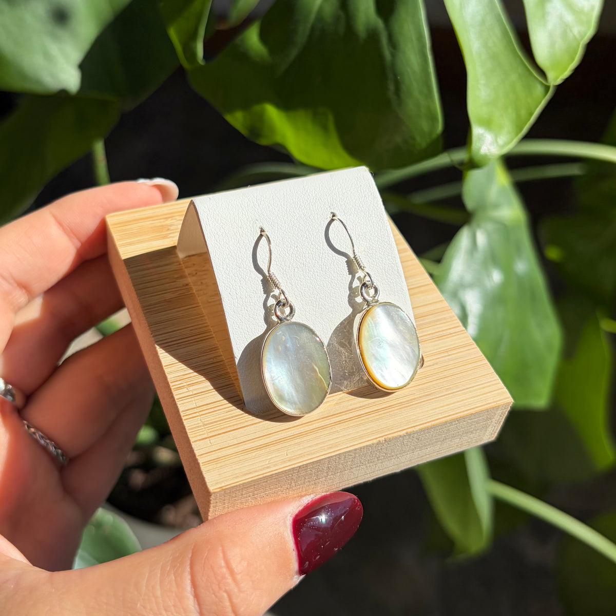 Boucles d'oreilles abalone