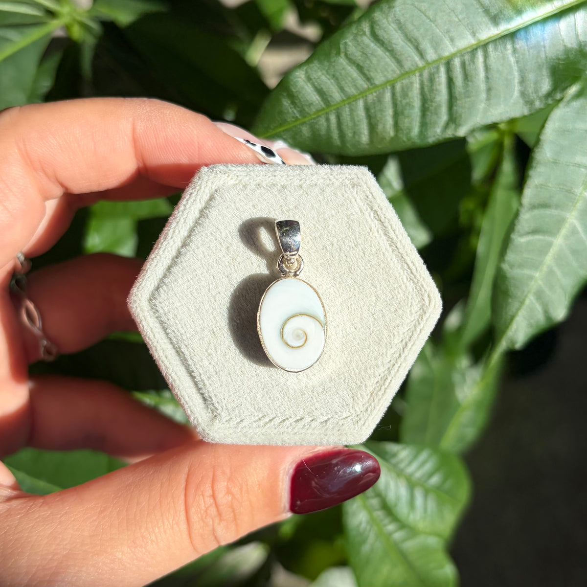 Pendentif opercule