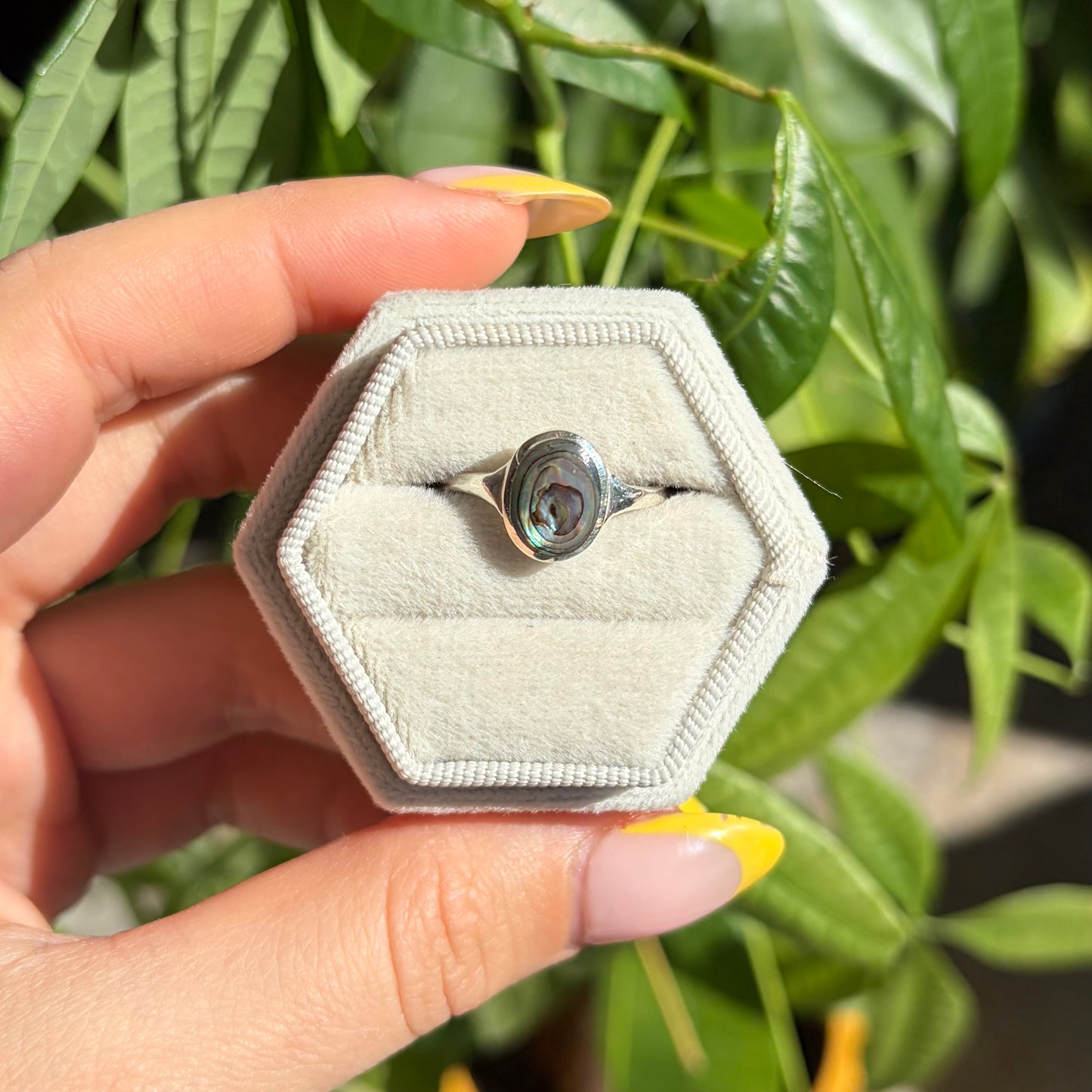 Bague abalone
