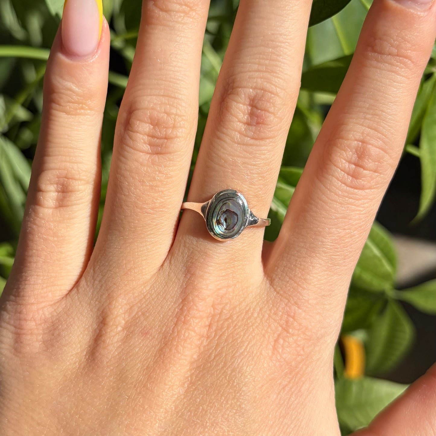 Bague abalone