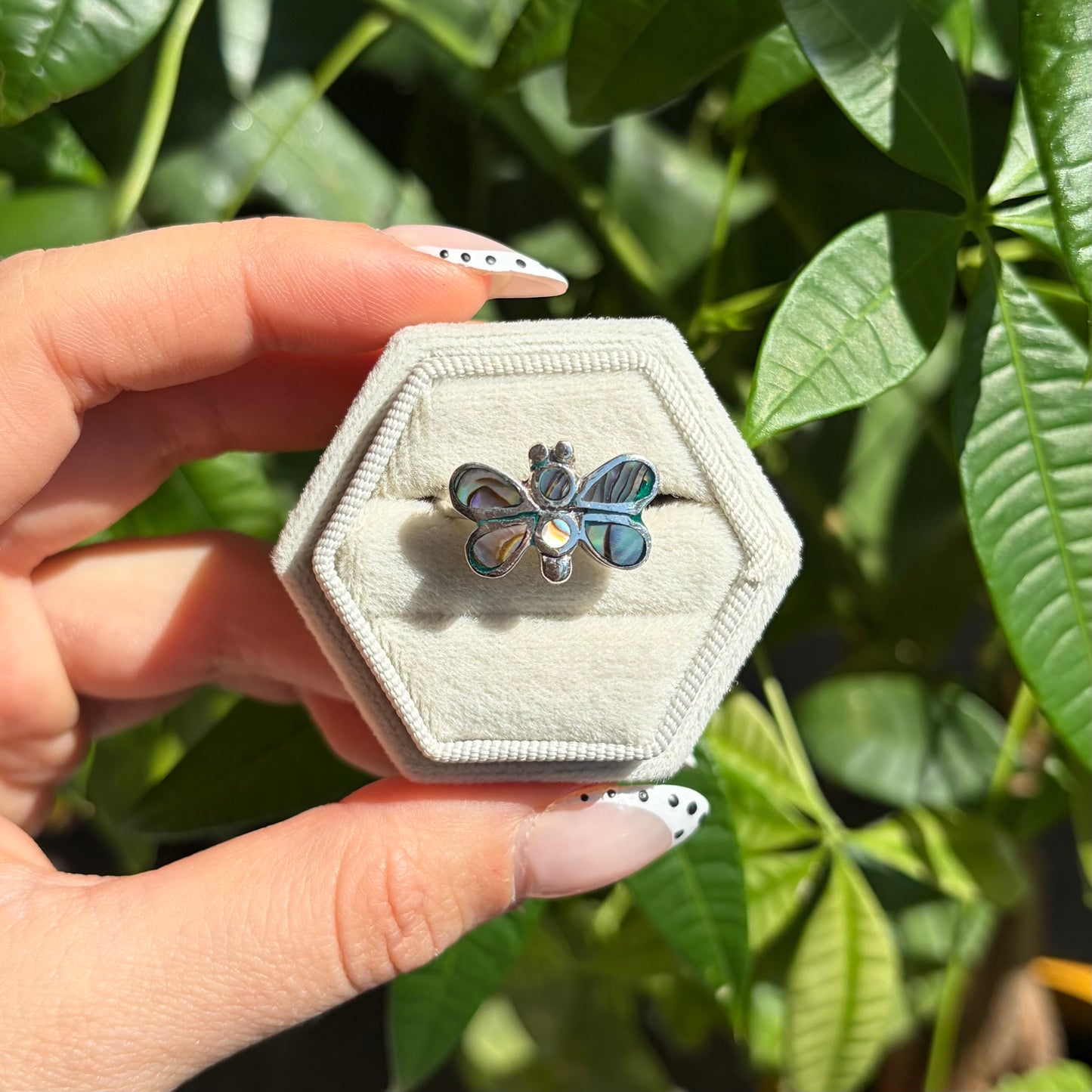 Bague abalone