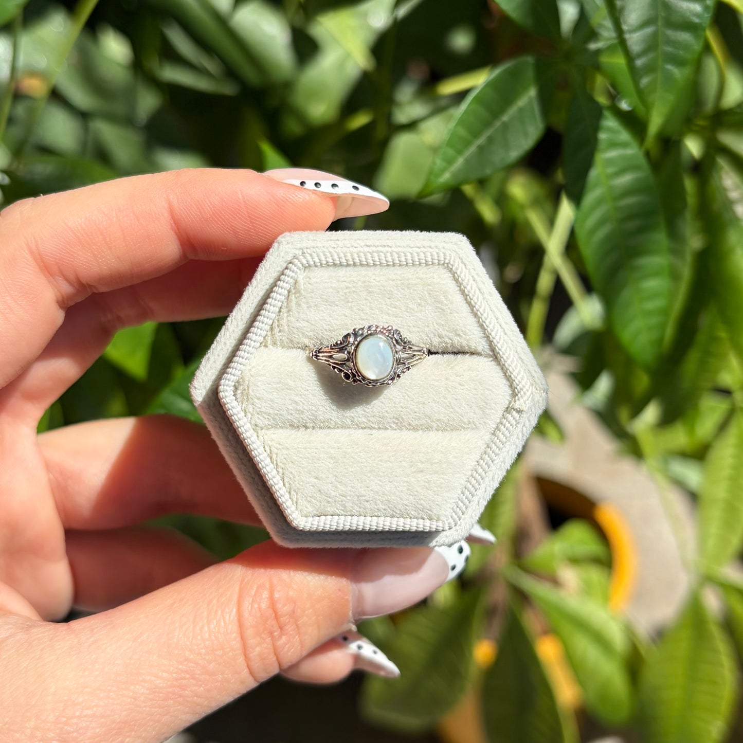 Bague abalone