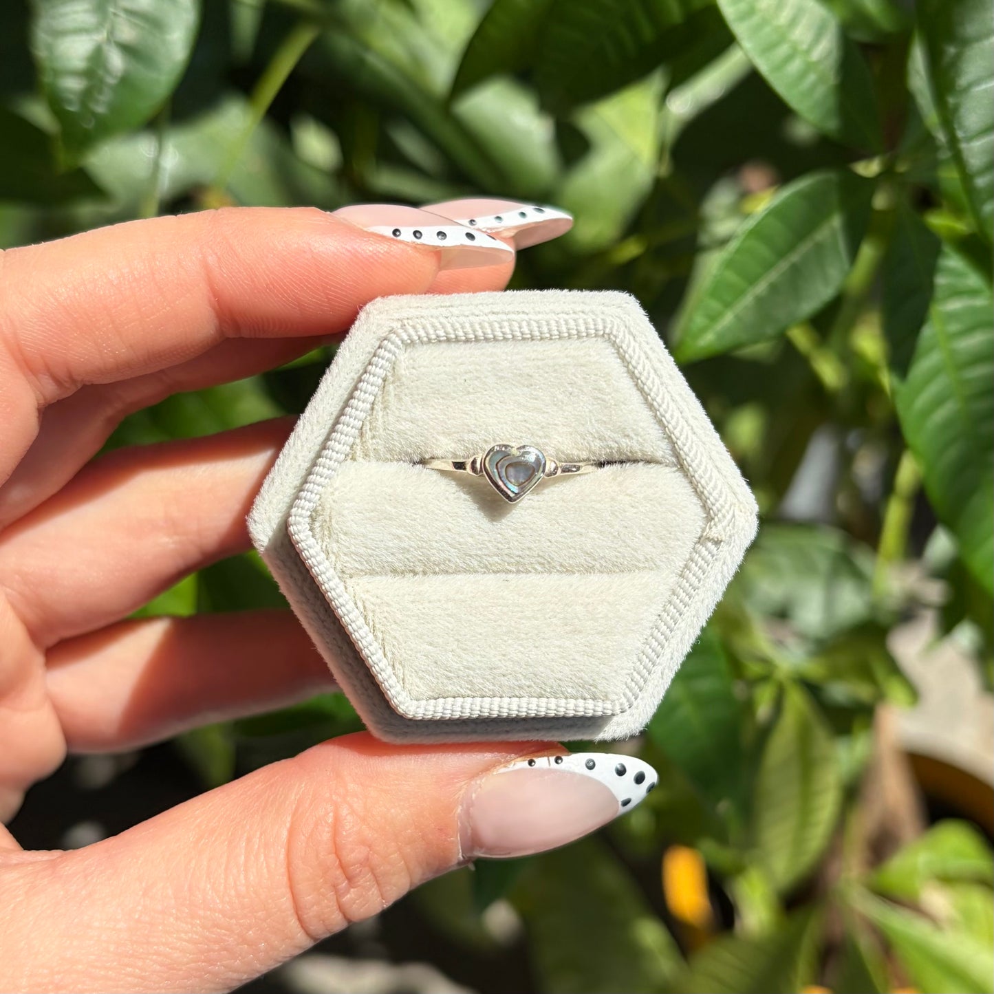 Bague abalone