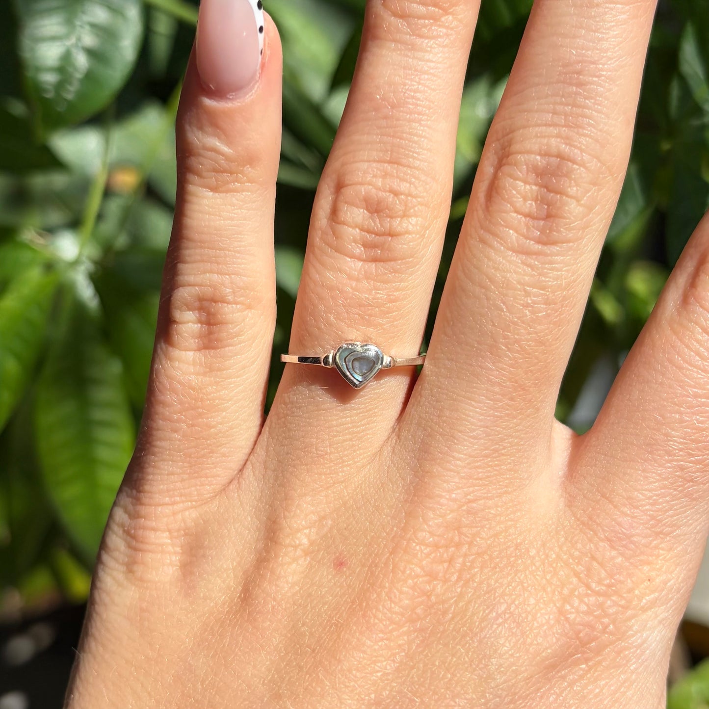 Bague abalone