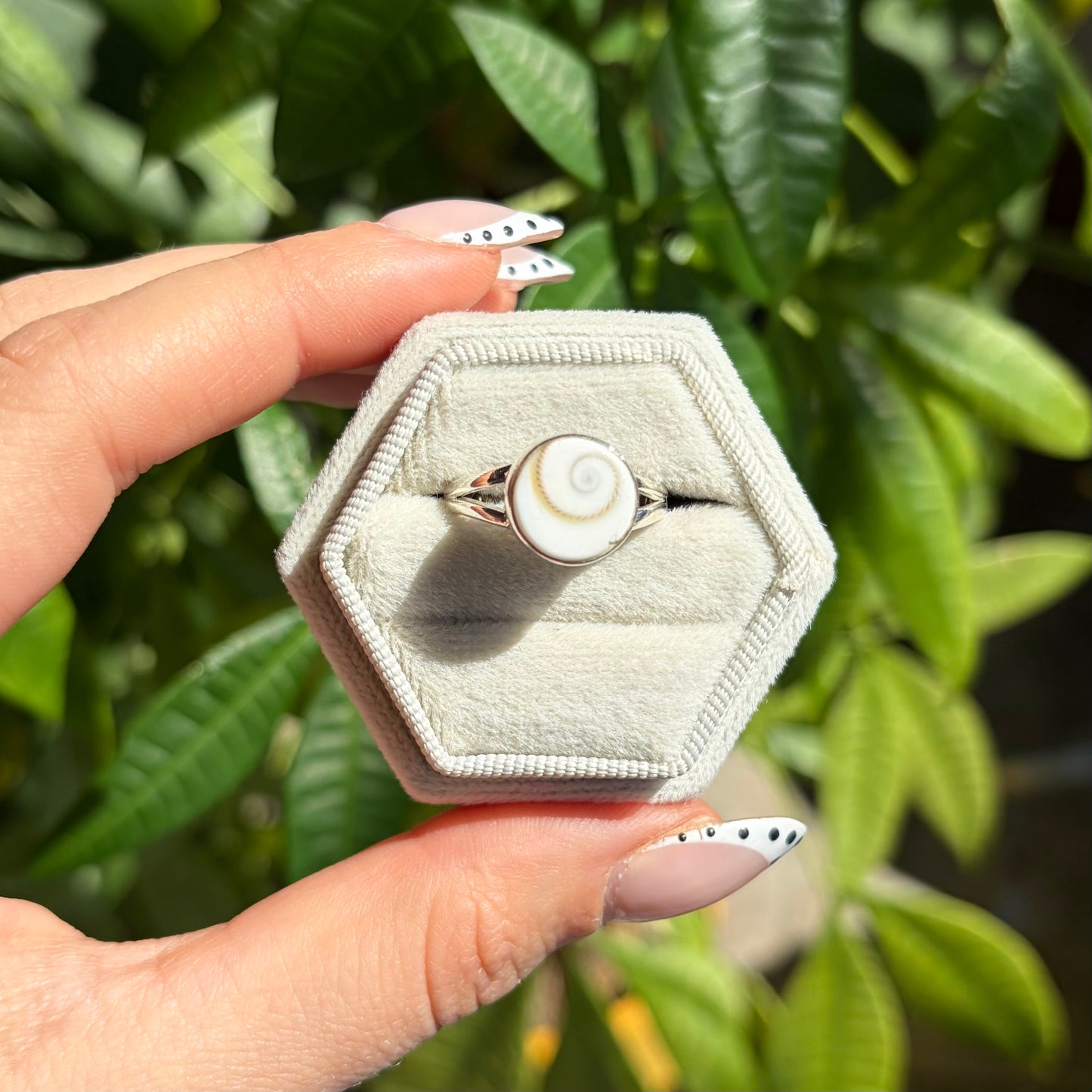 Bague opercule