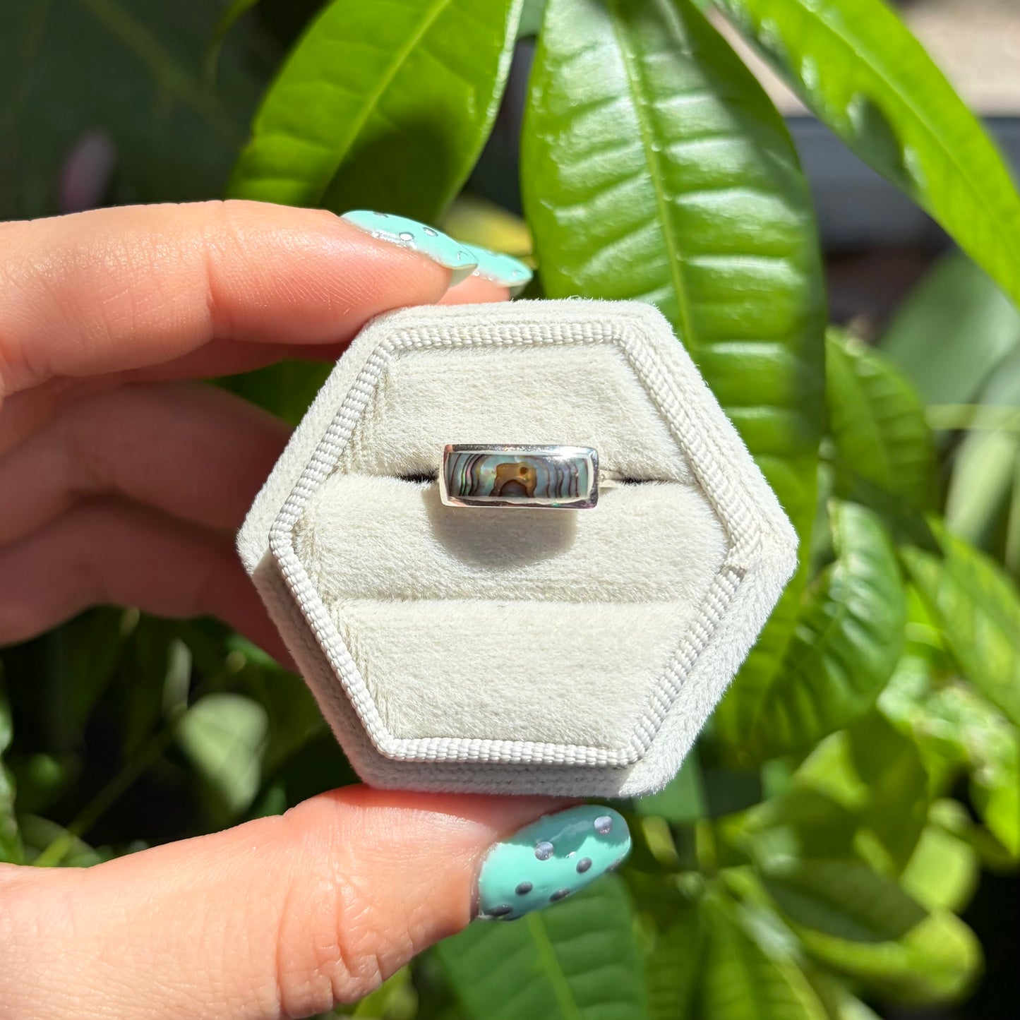Bague abalone
