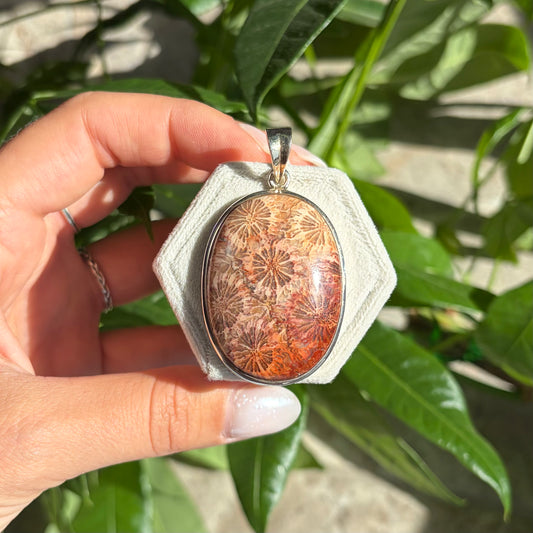 Pendentif corail fossilisé