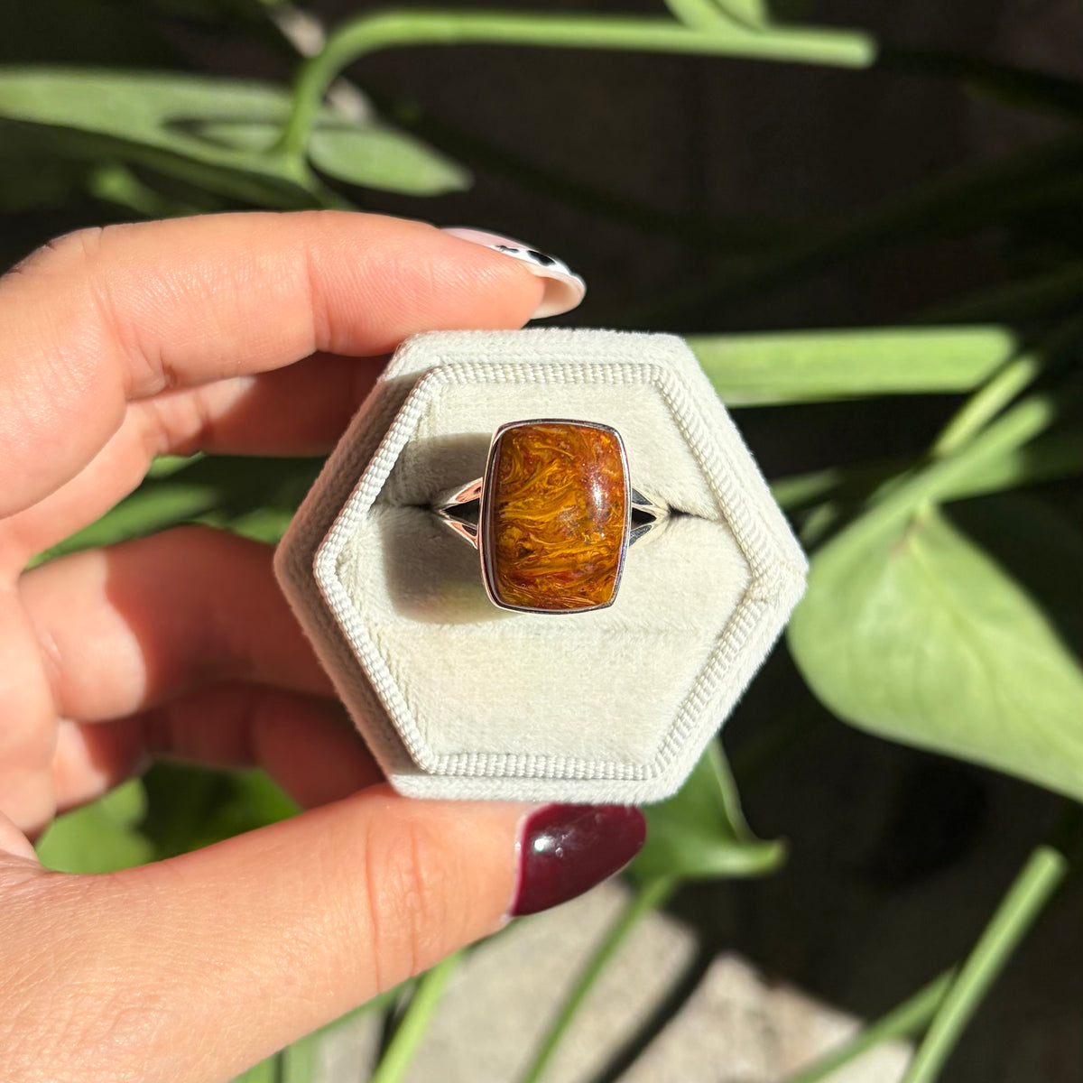 Bague pietersite