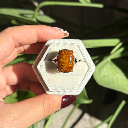 Bague pietersite